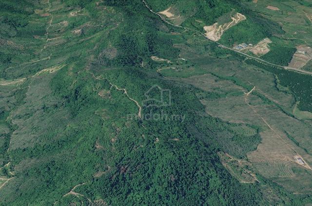 Tanah Pertanian Di Mukim Tekai, Padang Terap, Kedah 1