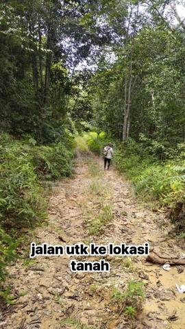 tanah kebun 6 ekar untuk dijual 1