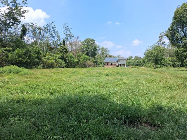 Tanah Lot Bukit Panau,Tanah Merah untuk dijual. 1