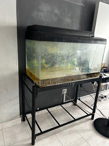 Akuarium ikan - photo 4 of 5
