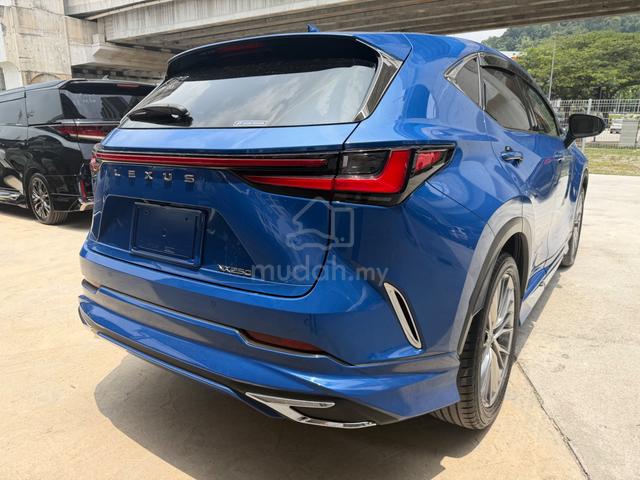 2023 Lexus NX250 2.5 LUXURY MARK LEVINSON/BODYKIT - 3
