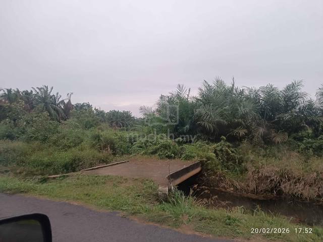 Tanah 7.5 Ekar Di Tepi Jalan – SRI GADING, BATU PAHAT 1