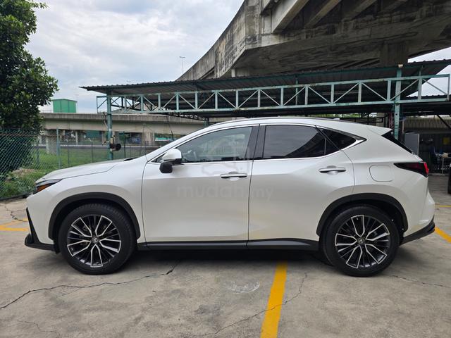 2023 Lexus NX 250 2.5 BASE Ready Stock 5A/19k km - 2