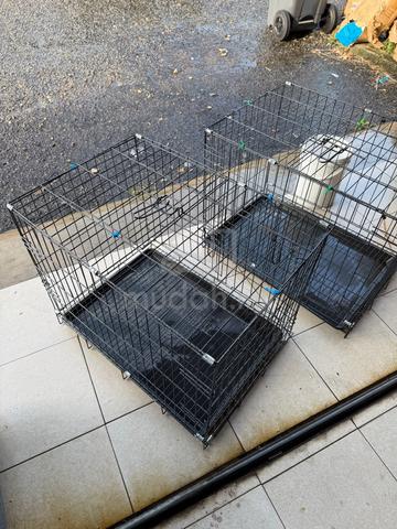 sangkar kucing besar - photo 5 of 6