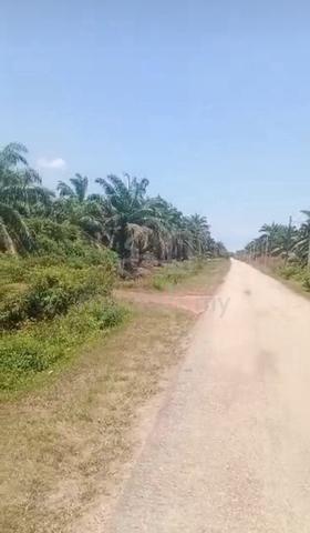 Tanah 3 ekar di Serom 1