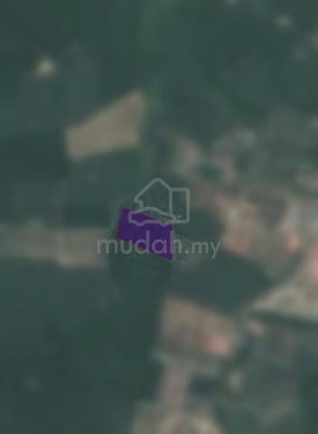 Agricultural Land Mukim Triang Pahang 1