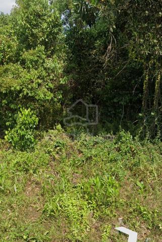6 acres zone industry land in Muar for sale 1
