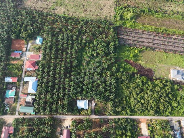 Kebun Sawit + Rumah FREEHOLD 2 ekar Pekan Parit Yaani Batu Pahat 1