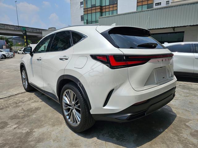 2023 Lexus NX250 2.5 Version L P/R 4Cam HUD DIM FS - 2