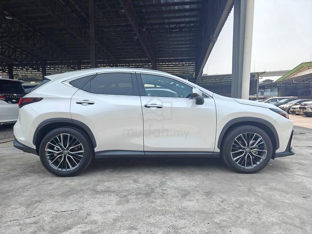 2023 Lexus NX 250 Base 4.5 P/Roof 4Cam Red Leather - 5