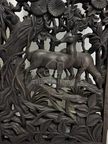 Carousel Image