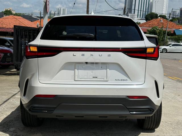 2023 Lexus NX 250 2.5 VERSION L SROF 4CAM 22K KM - 4