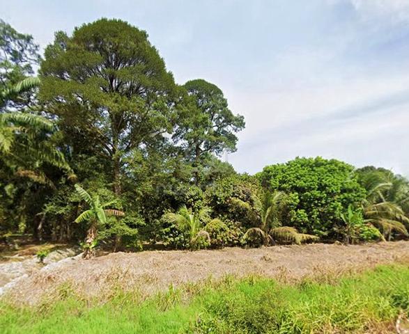 Batu Pahat Agricultural Land For Sale 1