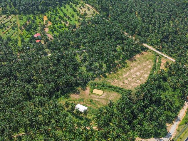 TANAH DUSUN🔥Agricultural Land Rembau Negeri Sembilan 2