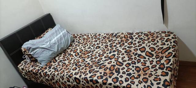 Nusa Height Single Bedroom Rental 1