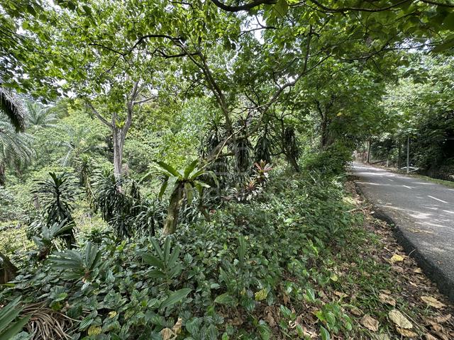 Bungalow Land Freehold Ukay Heights For Sale!! 1