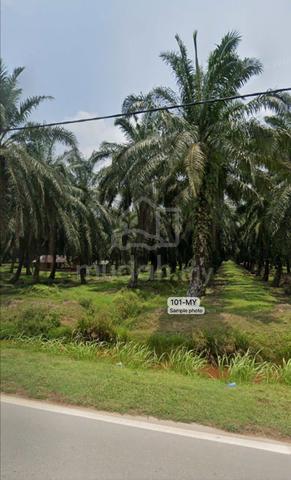 [CHEAP VALUE BUY FREEHOLD] Agriculture Land @ Kampung Permatang, Kuala 1