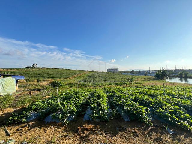 Seelong Land 1