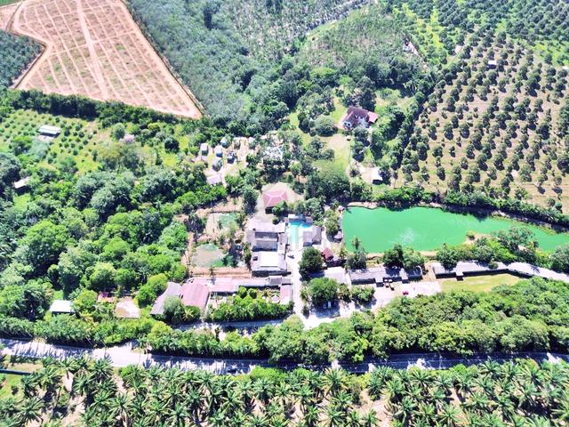 FREEHOLD HUGE Resort Agro Farm Durian Tunggal Melaka 29 Acres 1