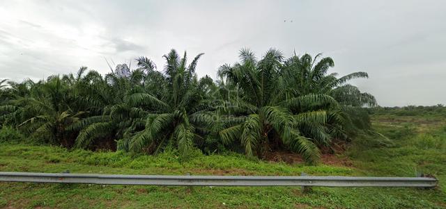 Tanah Untuk DiJual - Sungai Pelek, Sepang 2
