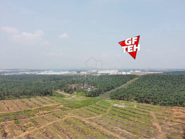 105.72 Acre Oil Palm Plantation Agricultural Land Industrial Zon Kulim 1