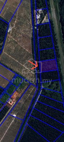 [NAK JUAL MURAH] TANAH 1 EKAR Tg Mas Batu 2 Sg Pelek Sepang 1