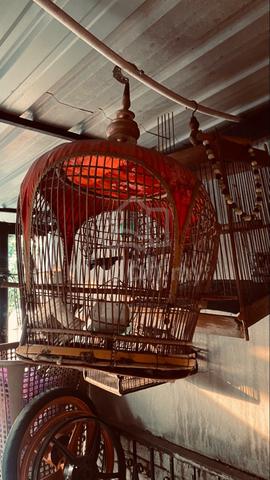 Carousel Image