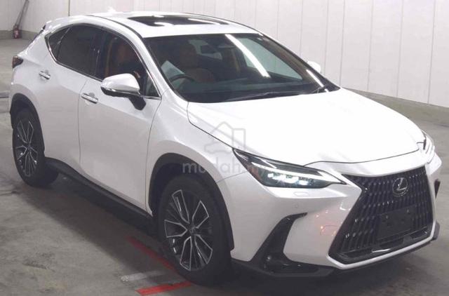 2023 Lexus NX250 2.5 LUXURY - 2
