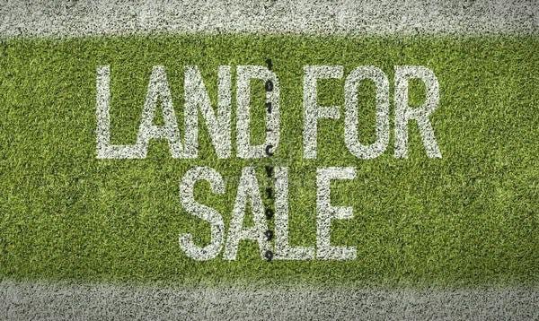 [Mainroad Converted] Jalan Klang Banting Jenjarom 2.5acre for sale 1