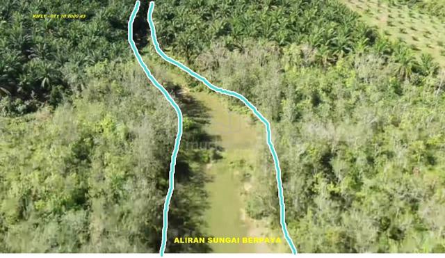 Tanah Kelapa sawit - Kg Berona - Jeniang 3