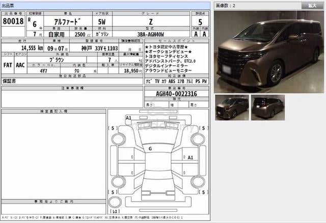 2024 Toyota ALPHARD 2.5 Z Side Steps BSM DIM 5AA - 2