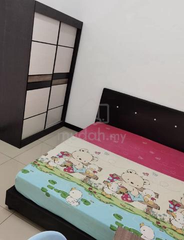 Miri: Fully furnished room at Greenville (guarded area) 1