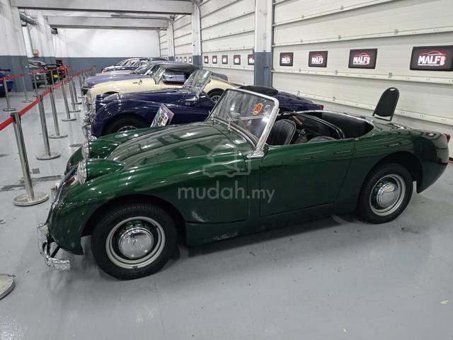1959 Austin HEALEY (Frogeyes) - 5