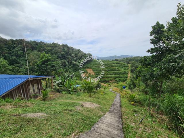 Telipok Land | Swiftlet House |Near Grand Merdeka Mall 3