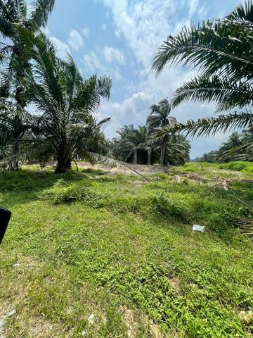 Zoning mixed development land in Mukim Tanjong Duabelas 2