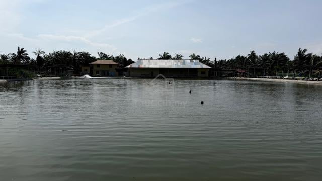 kolam pancing 1