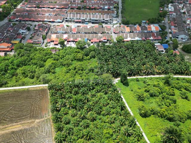 Padang Serai Agricultural Land Pokok Sawit Near Rhb Bank ,Taman Damai 1
