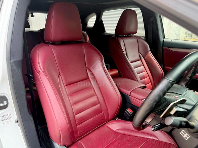 2019 Lexus RX300 2.0 F SPORT MY15 FACELIFT (A) - 4