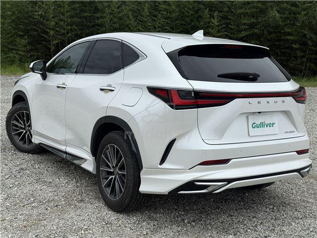 2023 Lexus NX250 2.5 BASE GRADE (A) ORIGINAL TRD - 3