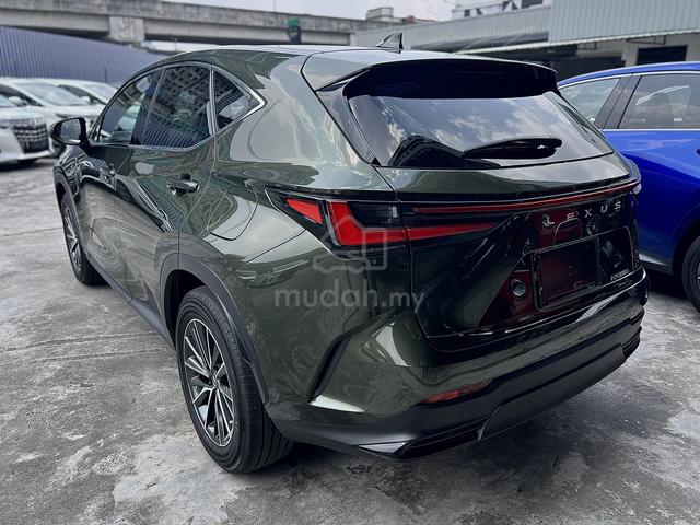 Unreg 2023 Lexus NX250 2.5 Nori Green Pearl Colour - 4