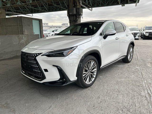 2023 Lexus NX 250 2.5 LUXURY (A) - 3