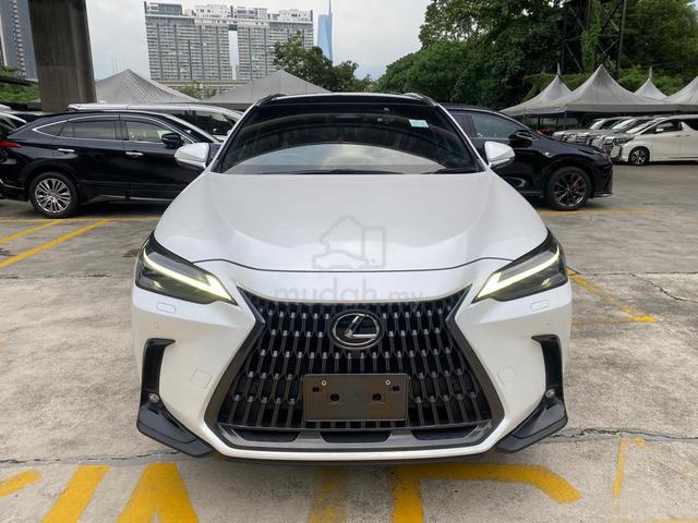 2023 Lexus NX250 2.5 LUXURY P/R HUD 360 BSM DIM PS - 1