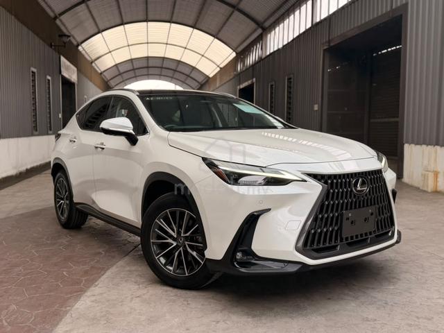 2023 Lexus NX250 2.5 BASE (A) - 1