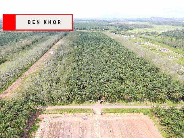 24.565 Relung |Flat Land | Agricultural Land | Pendang | KEDAH 1