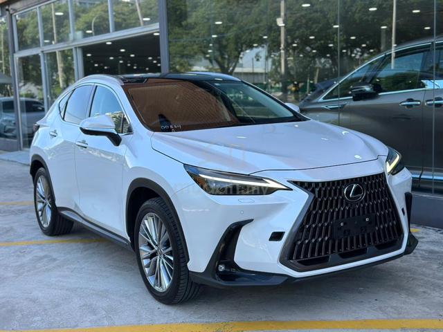 2022 Lexus NX 250 2.5 LUXURY (A) - 1