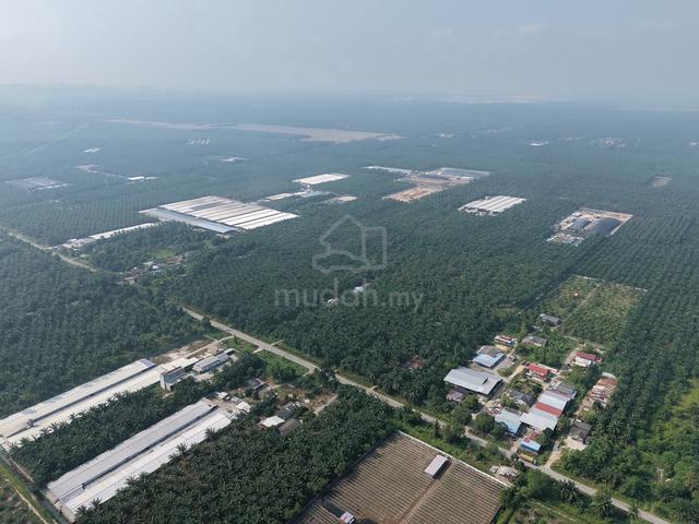 [Beside Mainroad] Jeram - Land For Sale 1