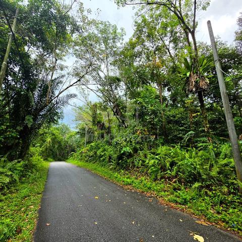 Tanah Kampung Pahang Tapah Perak Size 3.8 acres 1