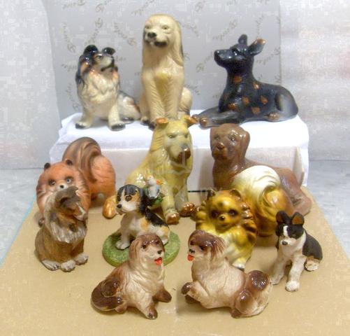 Carousel Image Selected