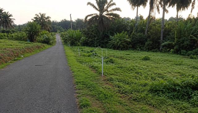 Tanah Lot 1/2 Ekar di Kg Murnijaya, Sedenak Untuk di jual 1