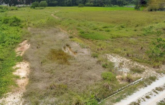 Non Bumi 2.5acre 1